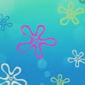 Meet your Posher, Stephani